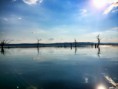 /album/galerie-foto-galerie-foto/a12565558-105239863192773-6434688115108619510-n-jpg/